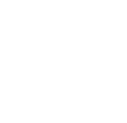 Ícone da categoria